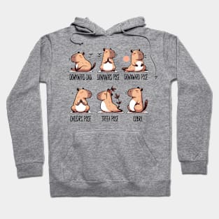 Zen Capybara Yoga Poses Illustration Set Hoodie